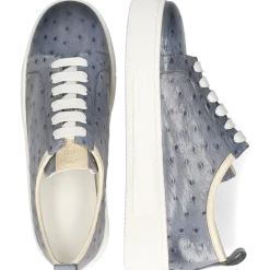 Melvin & Hamilton Amber 6 gris Online